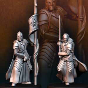 Bloody Elf Commander