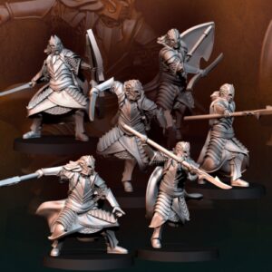 Bloody Elf King Guard