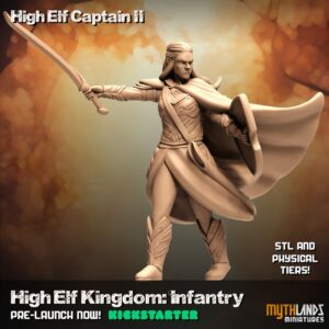 High Elf Captain II
