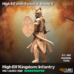 High Elf with sword and shield II
