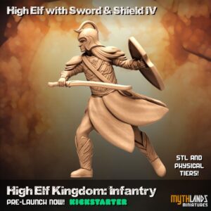 High Elf with sword and shield IV