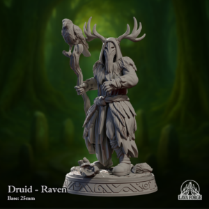 Druid - Raven